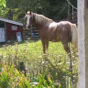 Meet your Posher, Harmony